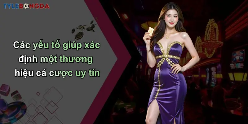 Miễn Trừ Trách Nhiệm: Tỷ Lệ Cược Bóng Đá Do Nhà Cái Cung Cấp 3 Các yếu tố giúp xác định một thương hiệu cá cược uy tín