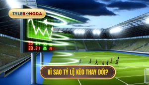 Vì sao tỷ lệ bóng đá luôn thay đổi_