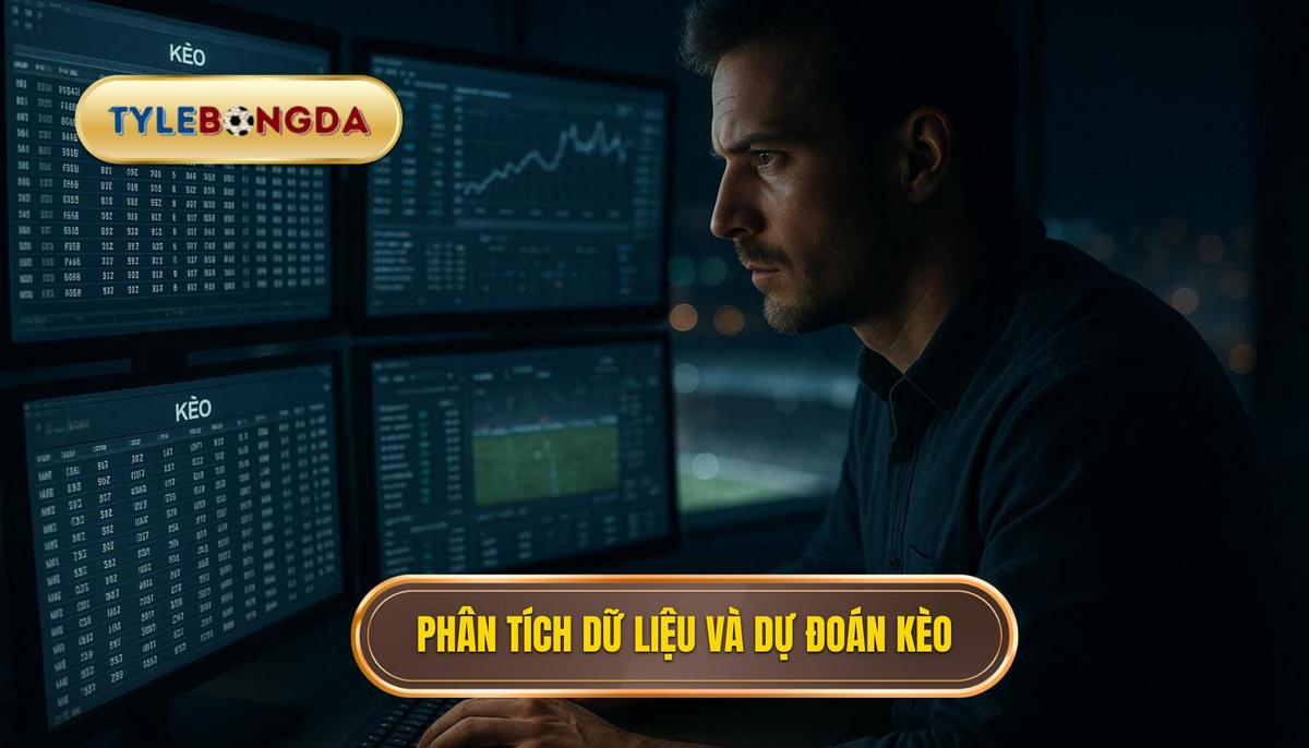 Phân tích dữ liệu và soi kèo chuyên sâu