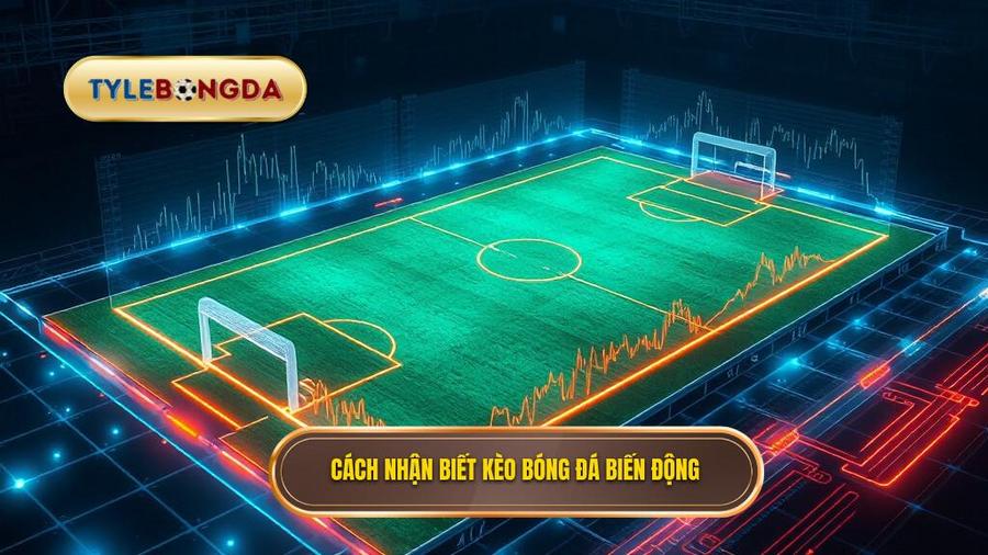 Cách nhận biết kèo bóng đá đêm nay biến động thế nào qua từng khung giờ
