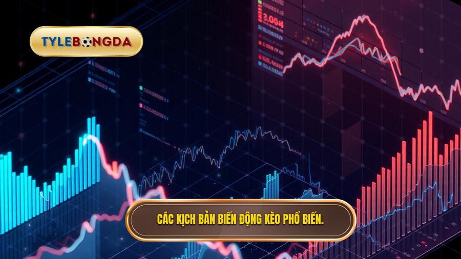 Phân tích đa chiều: Các kịch bản biến động kèo phổ biến
