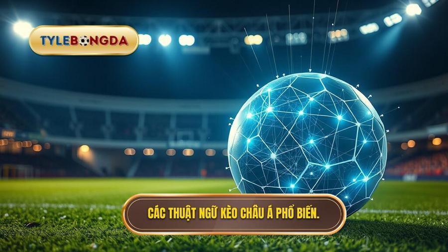 Những thuật ngữ cá độ cần biết về Kèo Châu Á (Handicap)